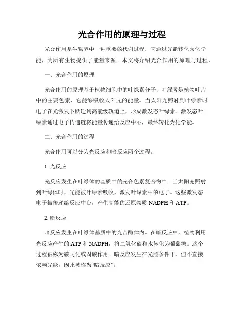 光合作用的原理与过程