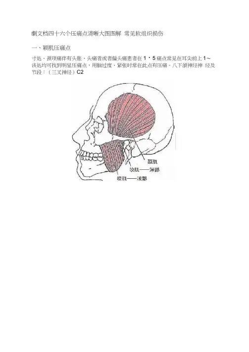 清晰大图图解常见软组织损伤四十六个压痛点
