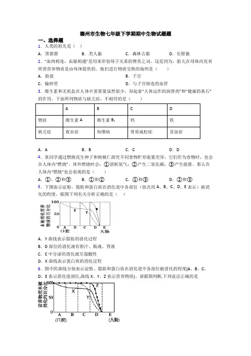 德州市生物七年级下学期期中生物试题题