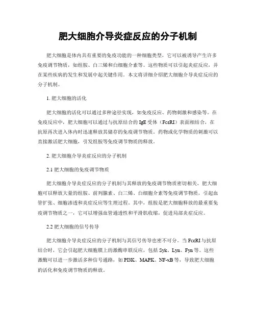 肥大细胞介导炎症反应的分子机制