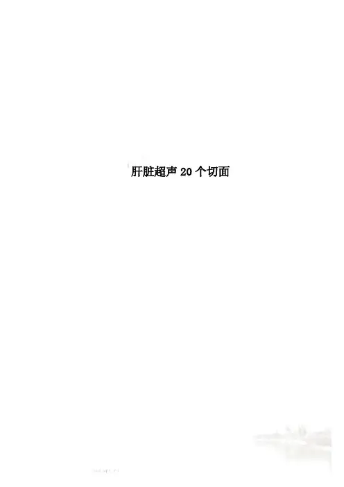 肝脏超声20个切面