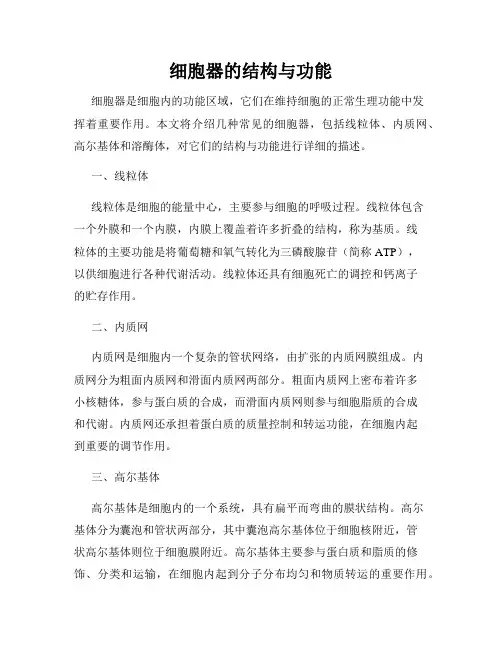 细胞器的结构与功能