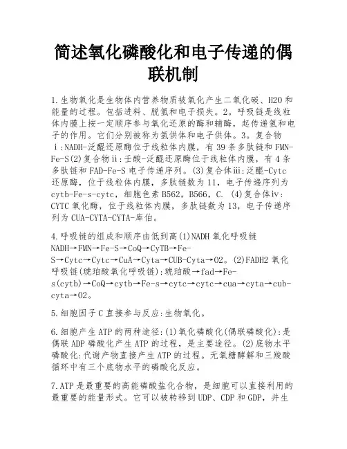 简述氧化磷酸化和电子传递的偶联机制