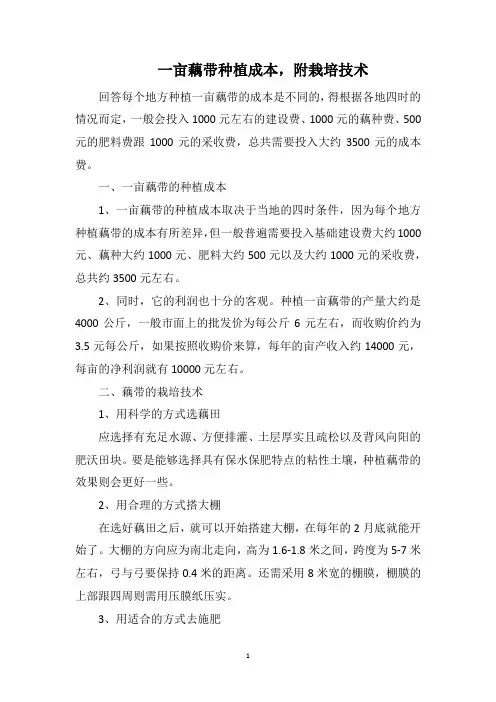 一亩藕带种植成本,附栽培技术