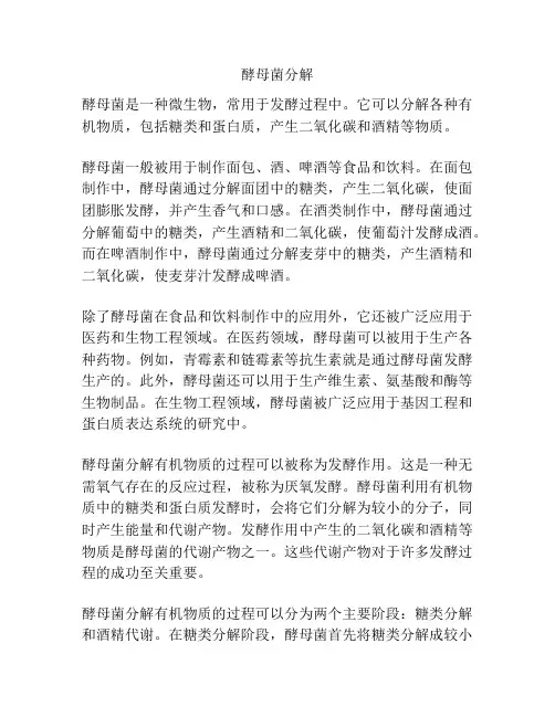 酵母菌分解