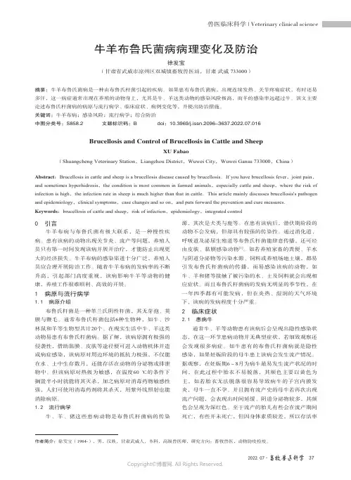 牛羊布鲁氏菌病病理变化及防治