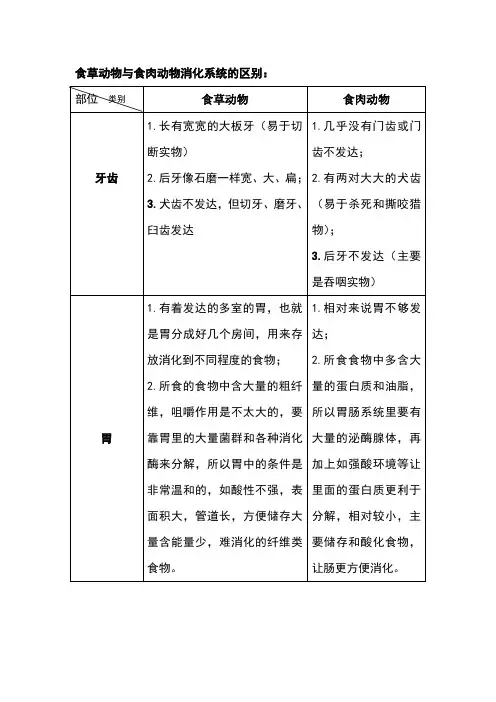 食草动物与食肉动物消化系统的区别