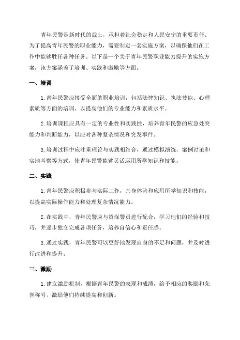 青年民警职业能力提升实施方案