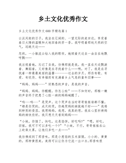乡土文化优秀作文