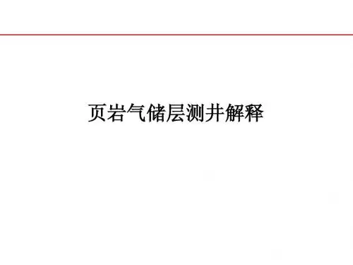 页岩气储层测井评价