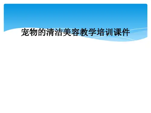 宠物的清洁美容教学培训课件