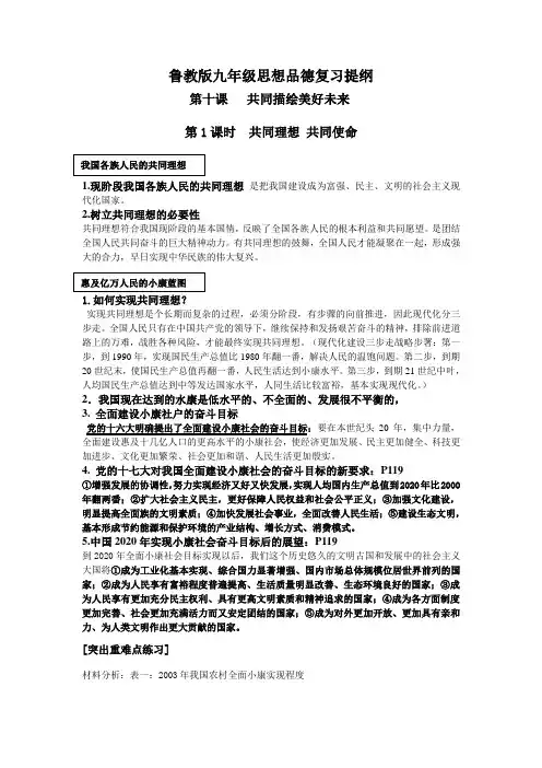 鲁教版九年级思想品德第十课共同描绘美好未来复习提纲