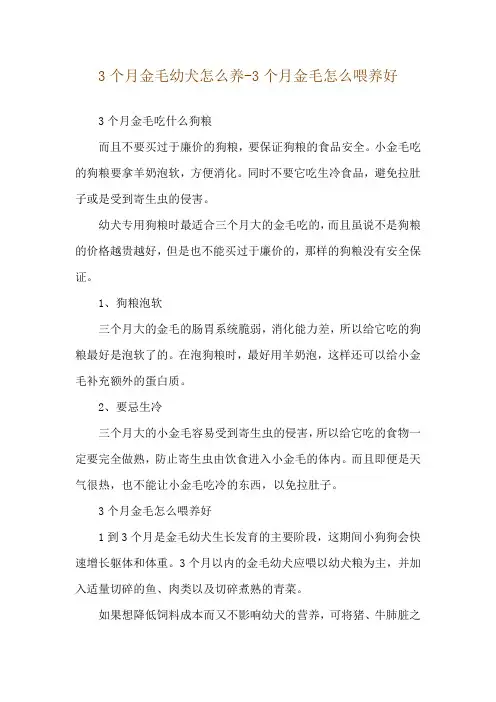 3个月金毛幼犬怎么养-3个月金毛怎么喂养好