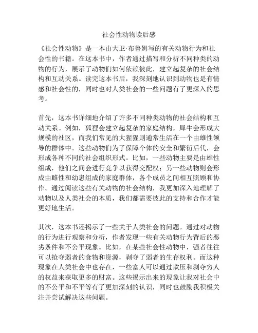 社会性动物读后感