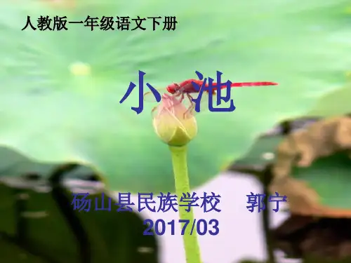 小学人教部编版一年级下册课文12：古诗二首-小池-第2套-【省一等奖】(1)_-优质课件