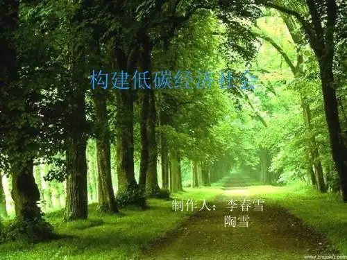 《低碳经济社会新》PPT课件