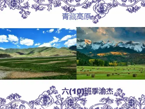 青藏高原PPT优秀课件
