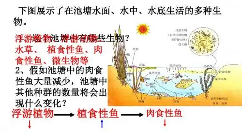 人教版高中生物必修三4.3《群落的结构》课件 (共34张PPT)