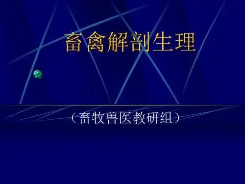 畜禽解剖生理