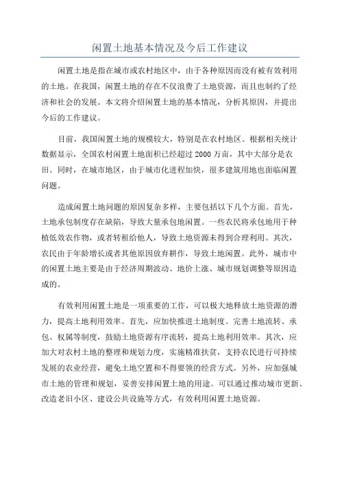 闲置土地基本情况及今后工作建议
