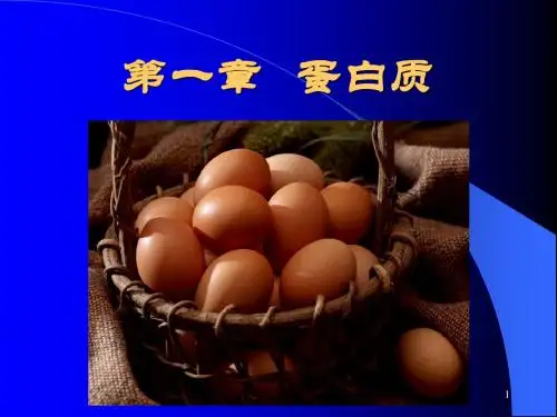 营养学(蛋白质)