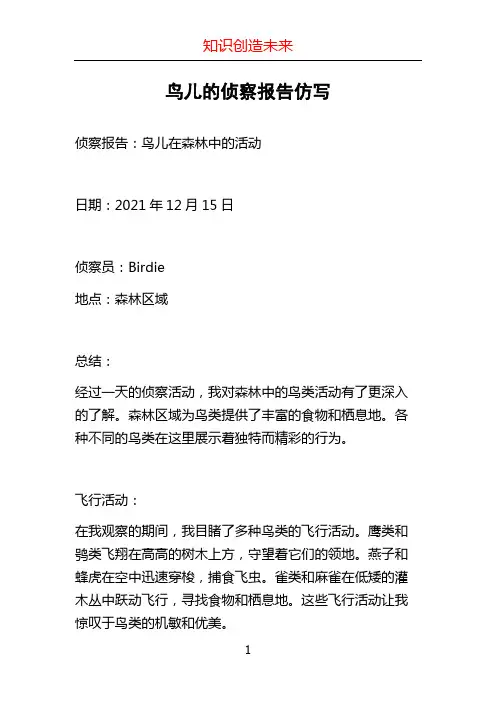 鸟儿的侦察报告仿写