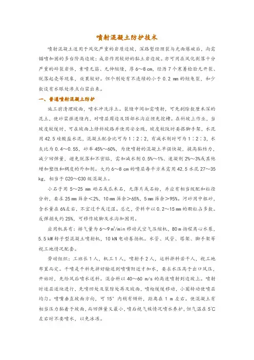 喷射混凝土防护技术