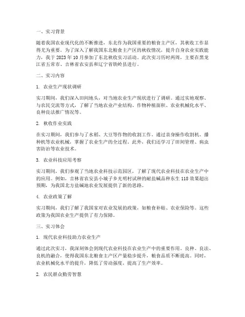 东北秋收实习报告