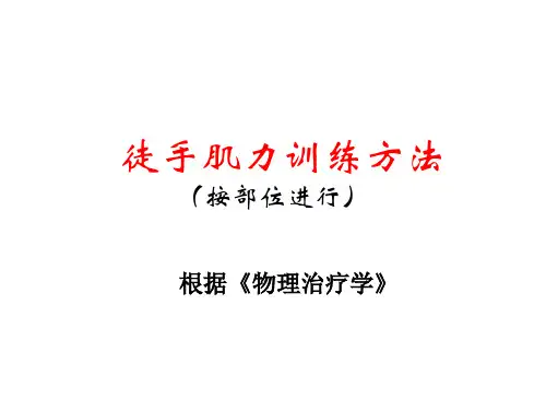 肌力训练方法(按部位)参考详解