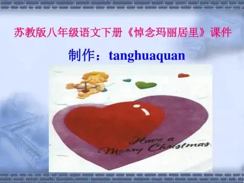 悼念玛丽·居里PPT3 苏教版 (共28张PPT)