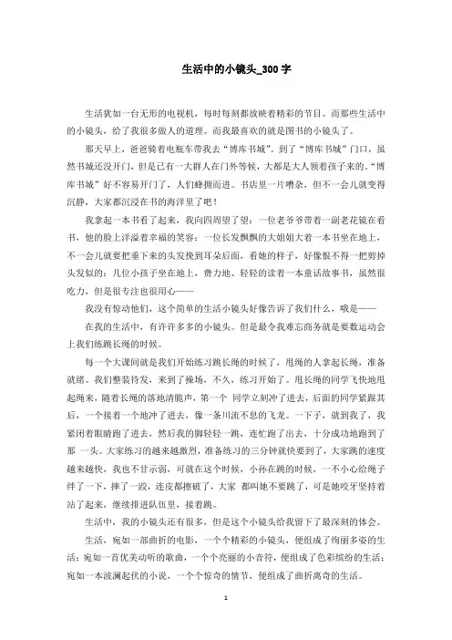 生活中的小镜头_范文精选