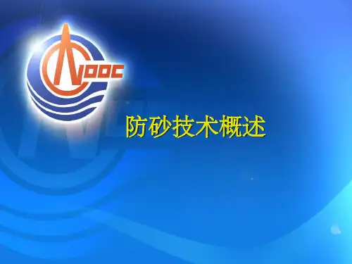 防砂技术概述ppt