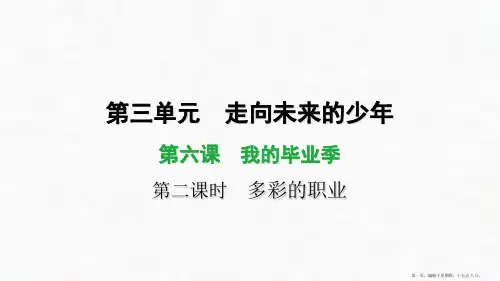下册第六课第二课时多彩的职业作业课件部编版道德与法治九年级全一册