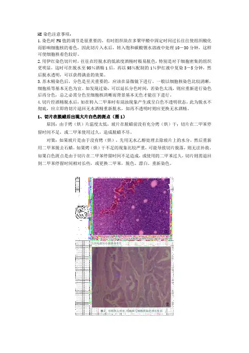 HE染色