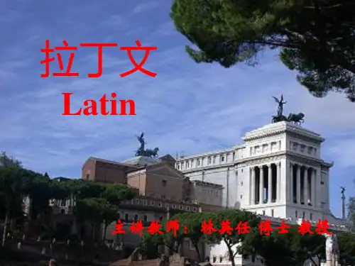 拉丁文