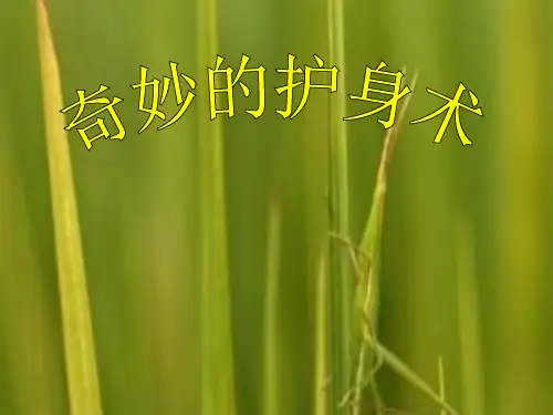 五年级上册科学课件奇妙的护身术冀人版