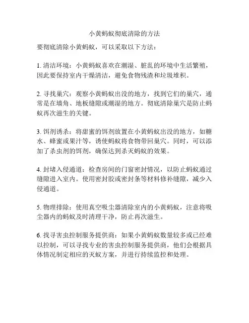 小黄蚂蚁彻底清除的方法