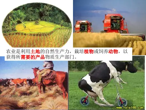 工业的区位因素与区位选择