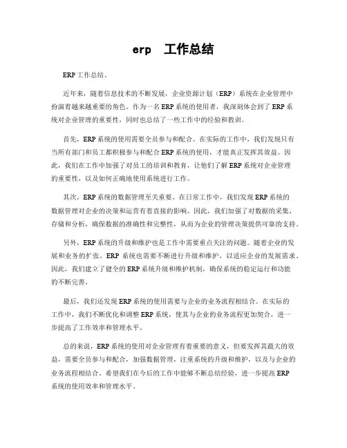 erp  工作总结