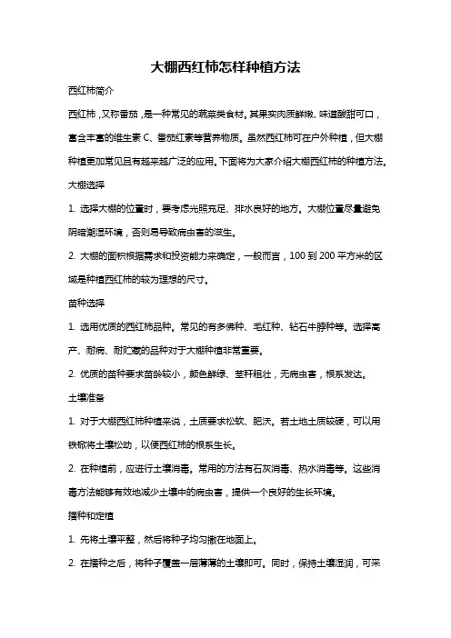 大棚西红柿怎样种植方法