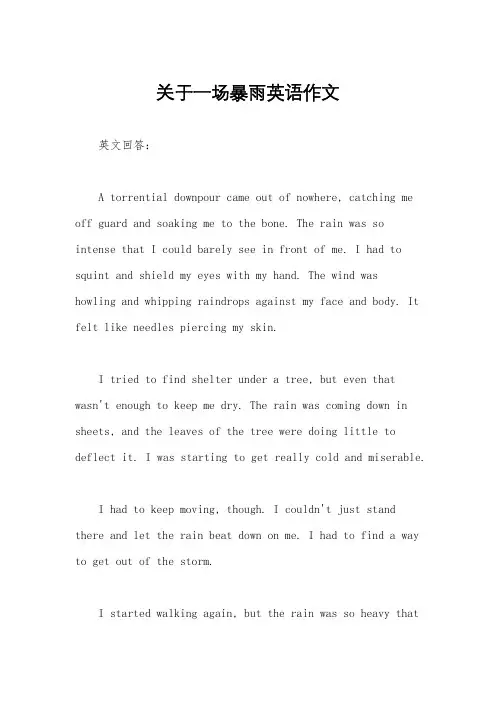 关于一场暴雨英语作文