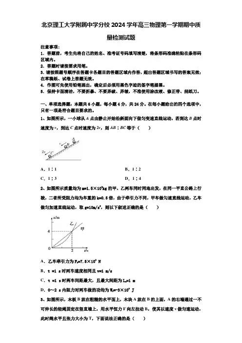 北京理工大学附属中学分校2024学年高三物理第一学期期中质量检测试题含解析