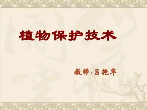 植物保护技术ppt课件
