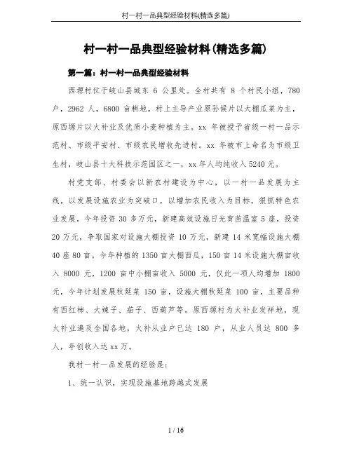 村一村一品典型经验材料(精选多篇)