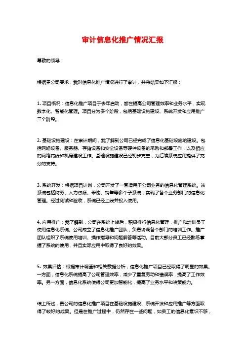 审计信息化推广情况汇报