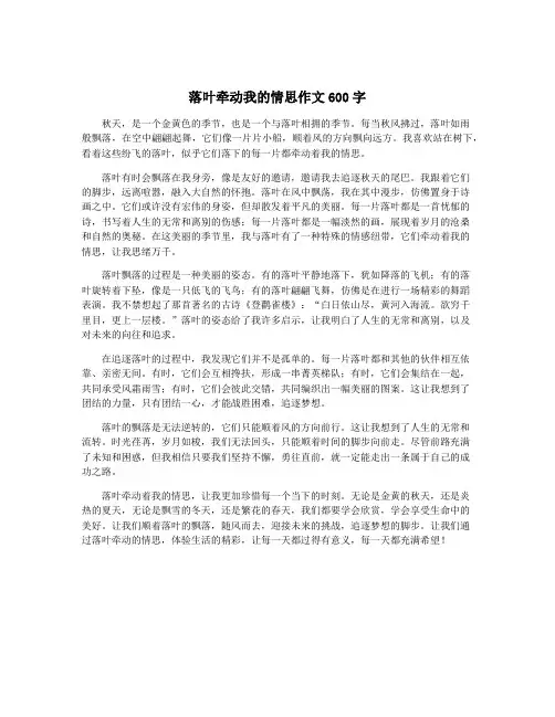 落叶牵动我的情思作文600字