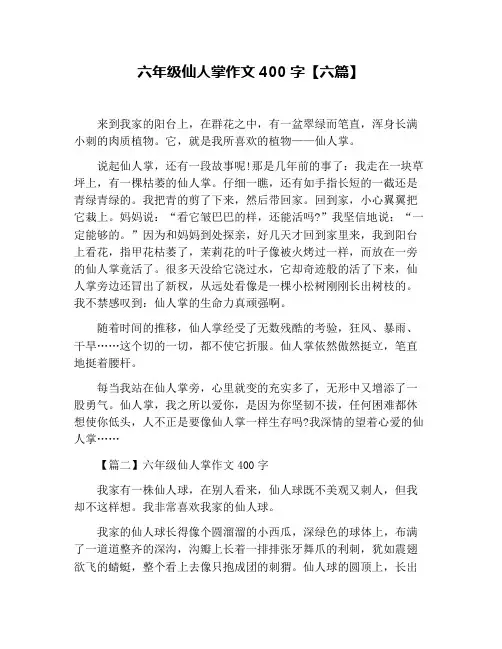 六年级仙人掌作文400字【六篇】