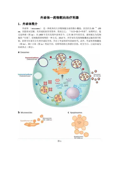 外泌体—药物靶向治疗利器