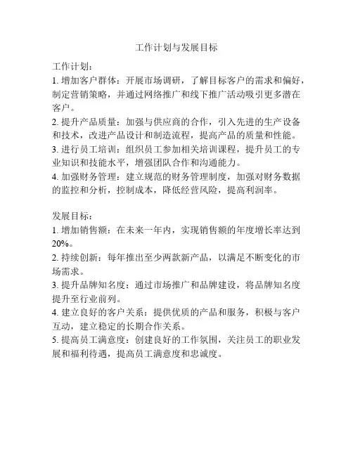 工作计划与发展目标