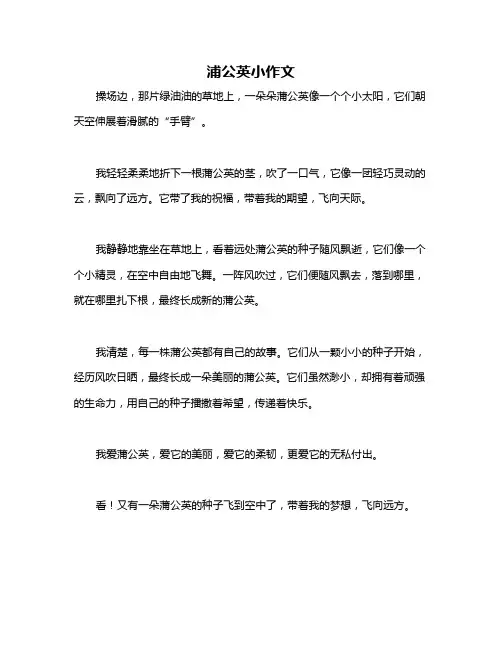 浦公英小作文